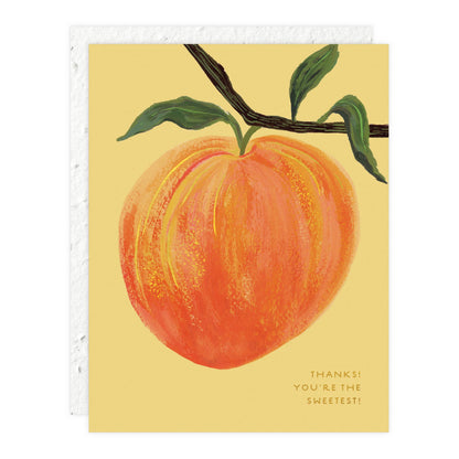 Thank You Card; Peach | Seedlings