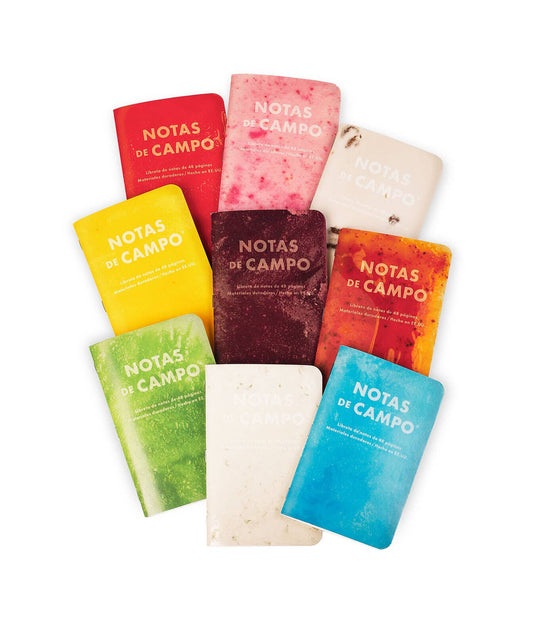 Memo Book Set; Paletas Pack C, 3-Pack | Field Notes
