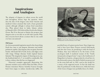 Book; Pocket Book of Dragons | Chronicle Books