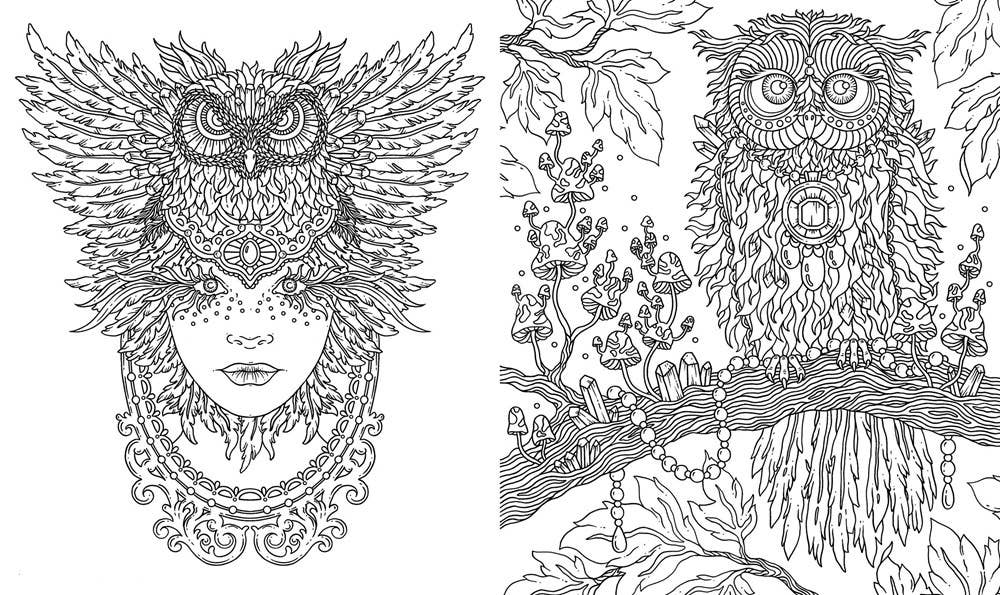 Mature Coloring Book; Spirit Animals