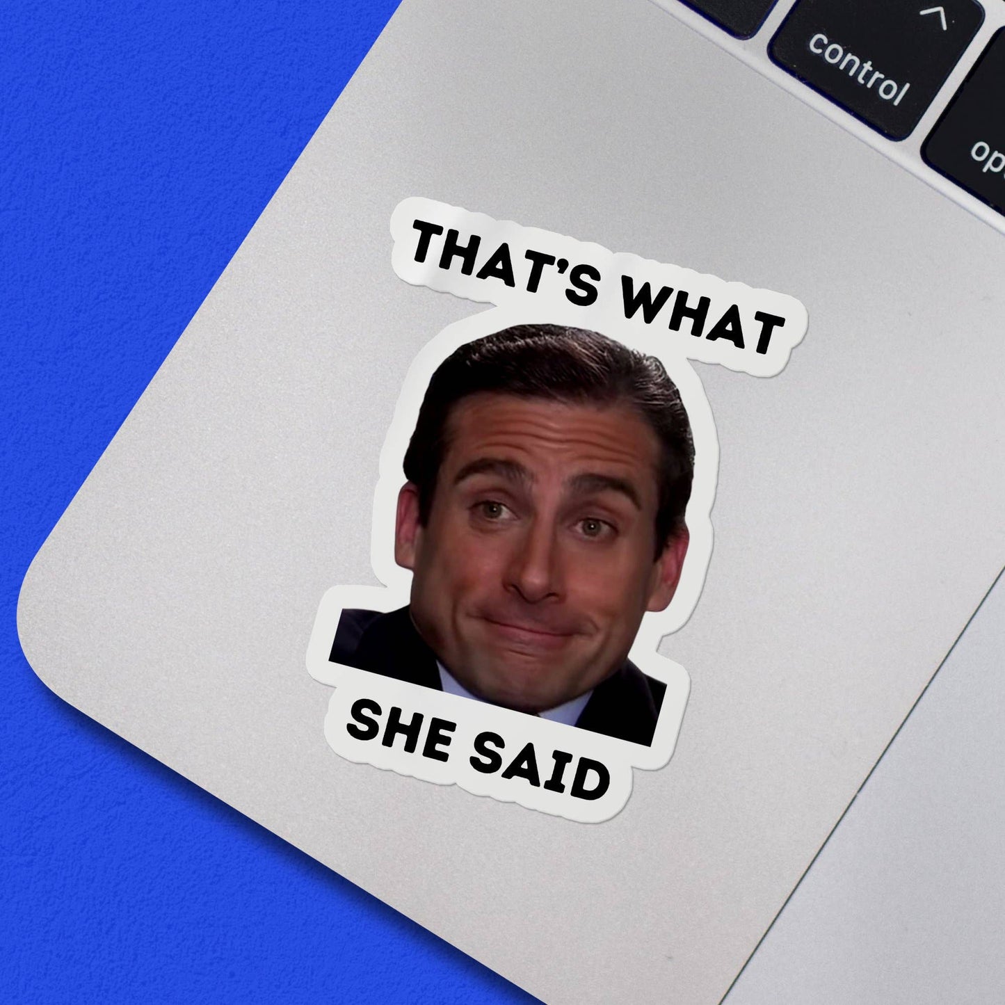 Vinyl Sticker; That's What She Said Michael Scott Meme