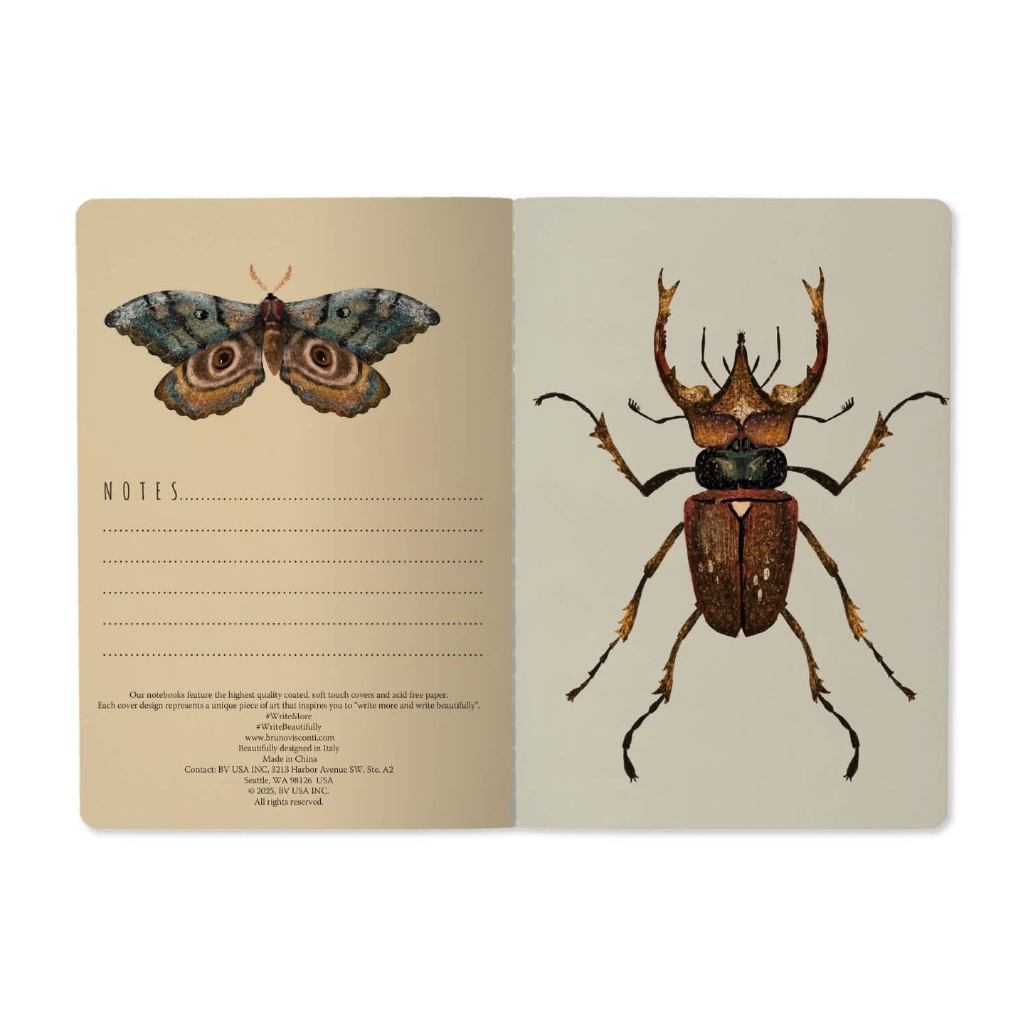 A5 Notebook; Entomology - BV by Bruno Visconti
