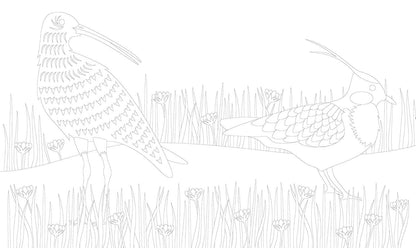 Coloring Book; The Mindful Year