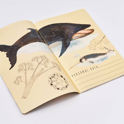 Notebook; Whales - BV by Bruno Visconti