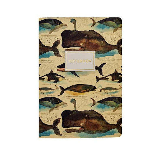 Notebook Collection; Fauna BV by Bruno Visconti