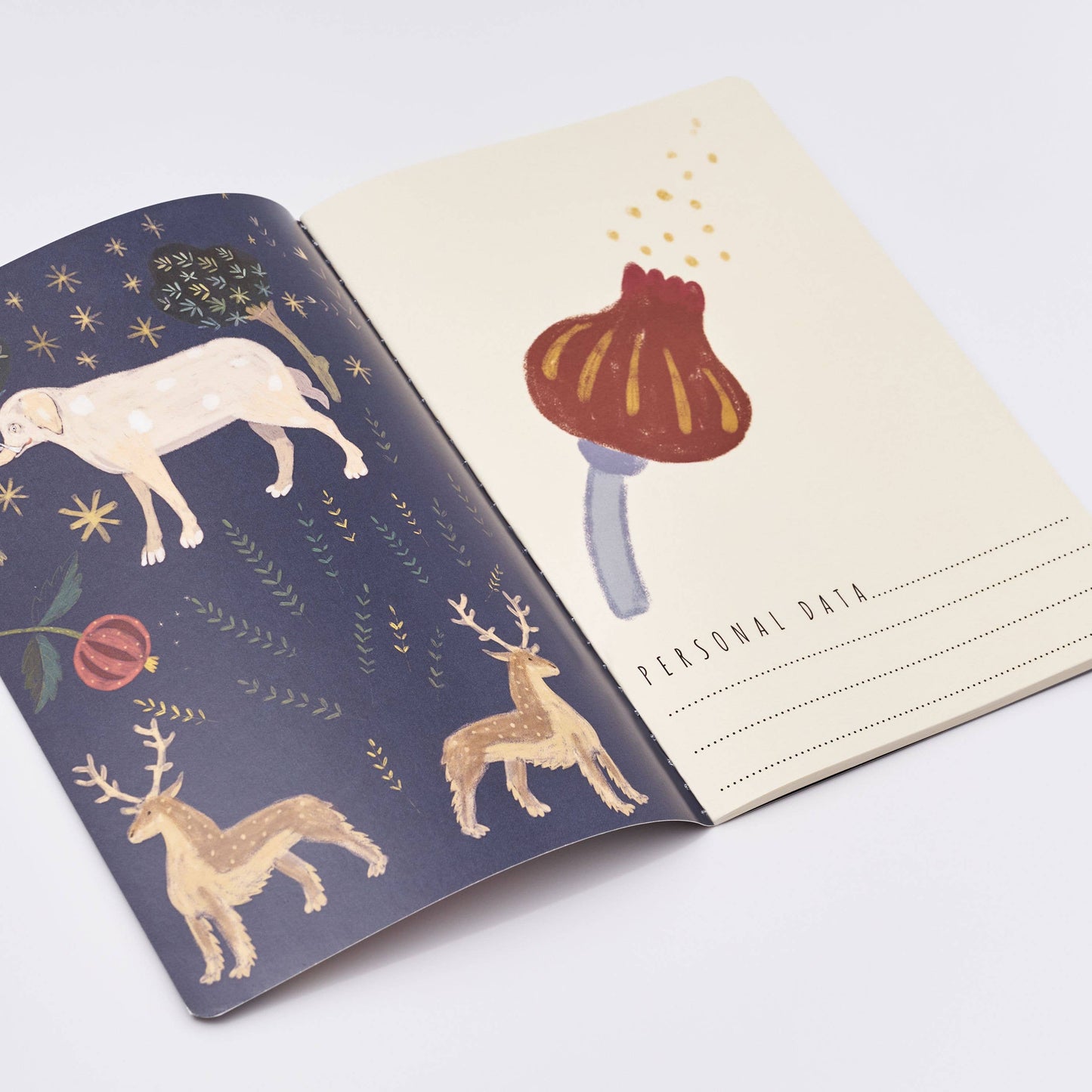 Notebook; Fairytale - BV by Bruno Visconti