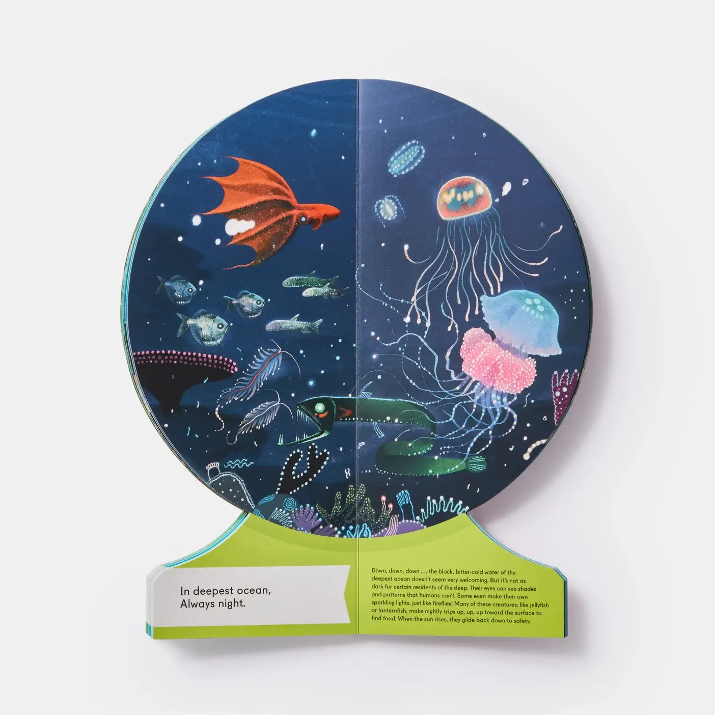 Board Book; Our Underwater World: Dive Into Oceans, Lakes, Rivers 2023