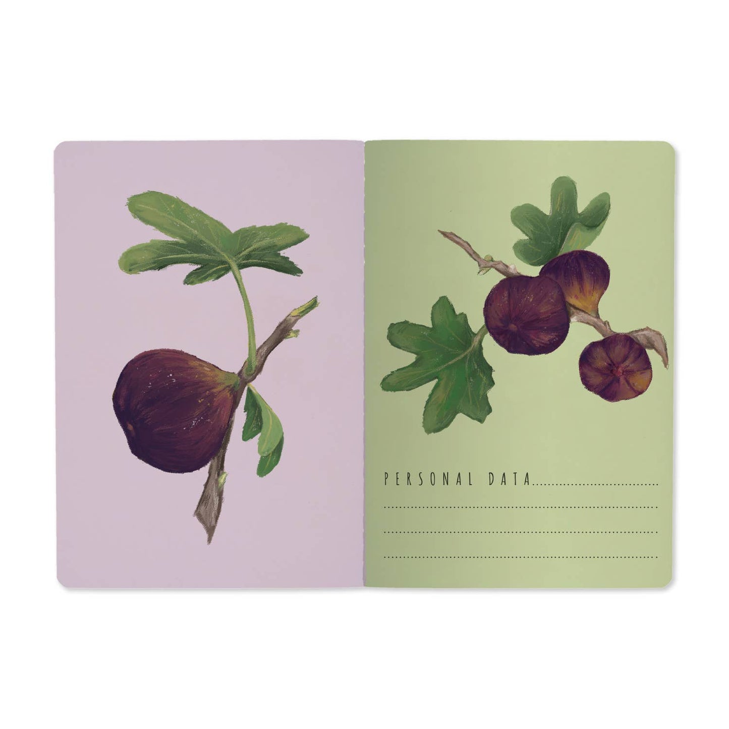 Notebook; Figs on White (Size A5)