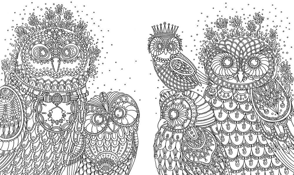 Coloring Book; Summer Nights