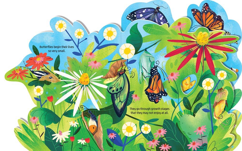 Board Book; Beautiful Butterflies