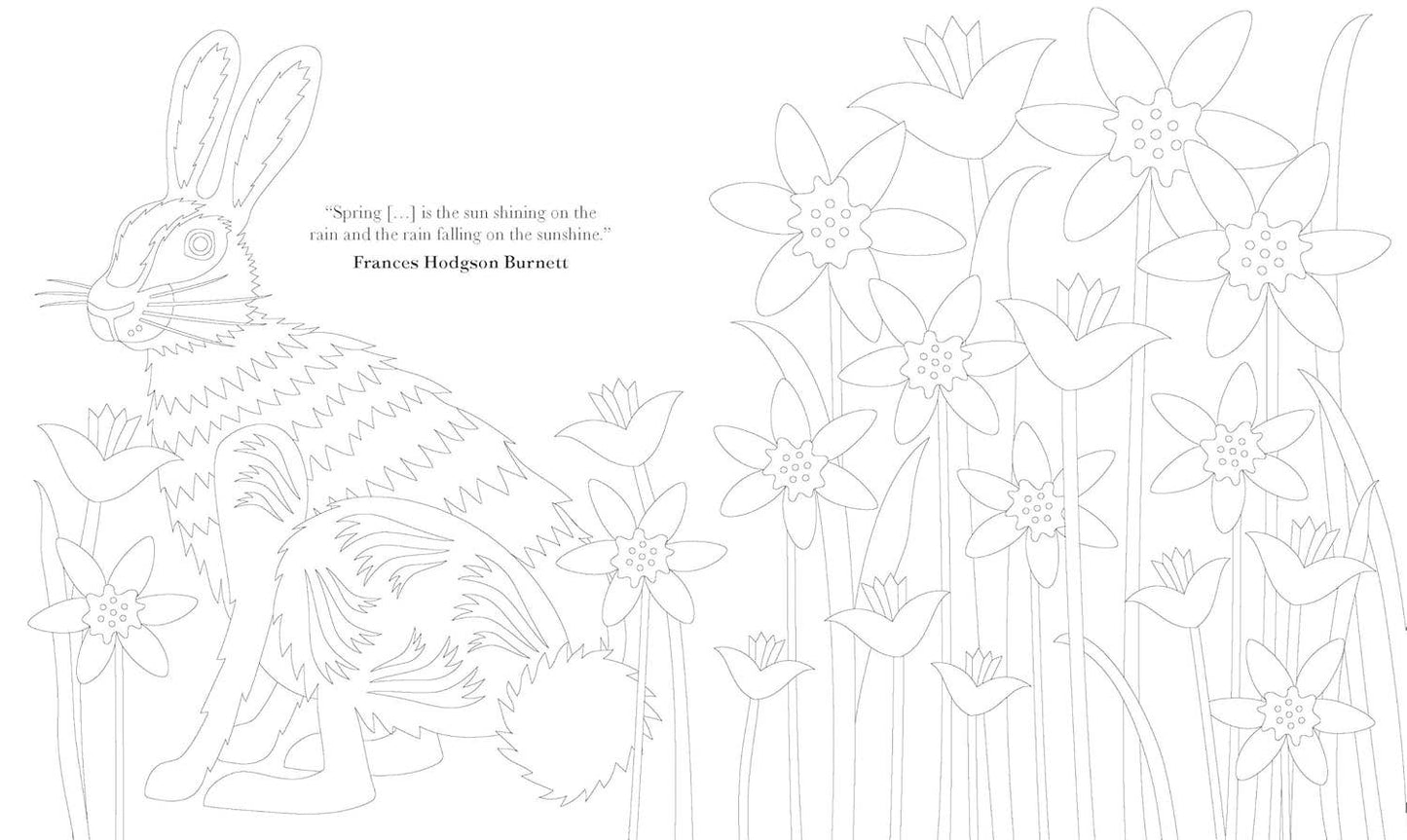 Coloring Book; The Mindful Year
