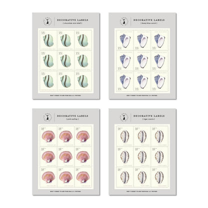 Decorative Label Set; Captiva Island Seashells by Felix Doolittle (36 Labels)