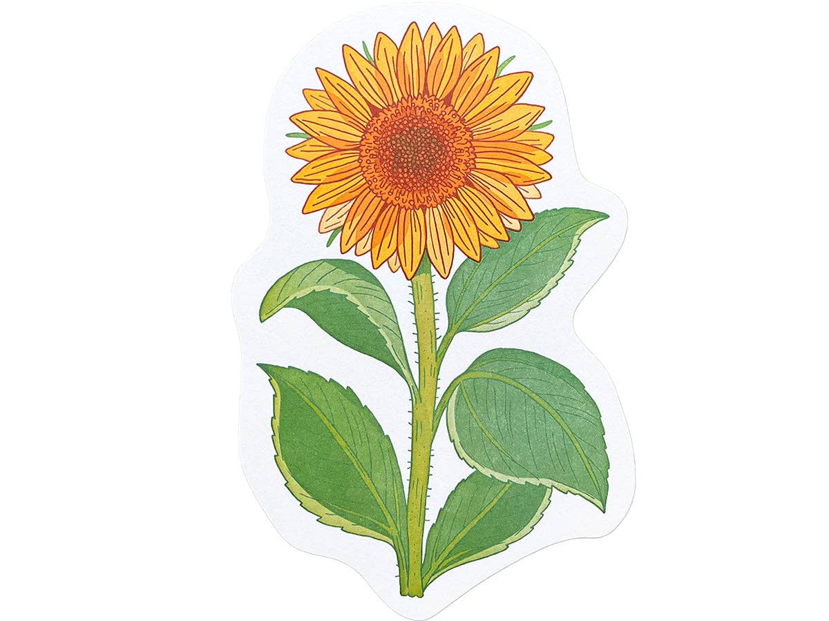 Postcard; Sunflower (Large Cut-Out)