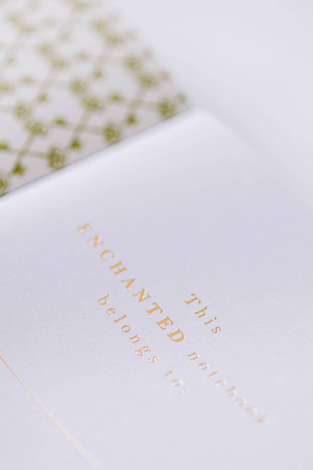 Notebook; Enchanted Tableau, The Mirror