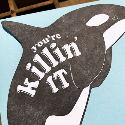 Gift Card Holder; Killin' It Killer Whale