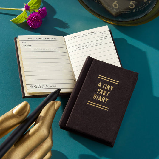 Mini Journal; A Tiny Fart Diary