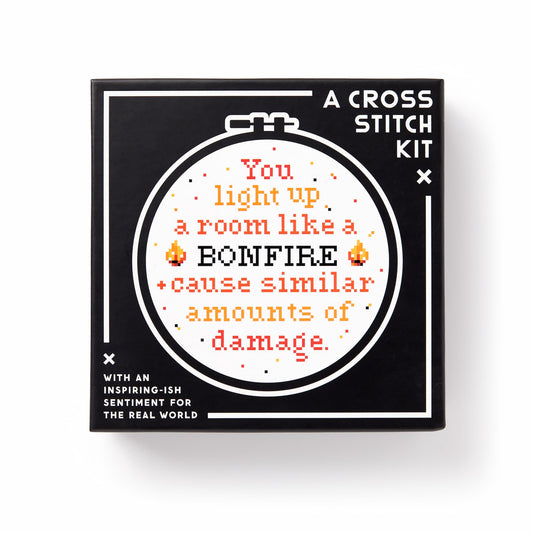 Cross Stitch Kit; You Light Up A Room By Brass Monkey