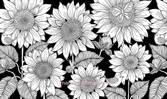Mature Coloring Book; Twilight Garden