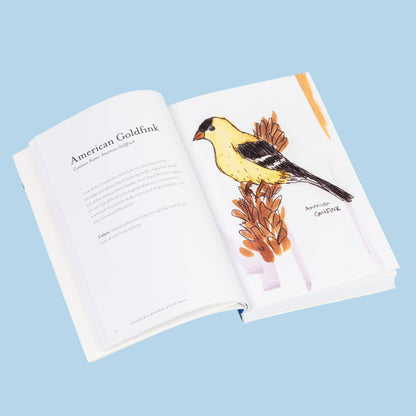Book; The Field Guide to Dumb Birds of America