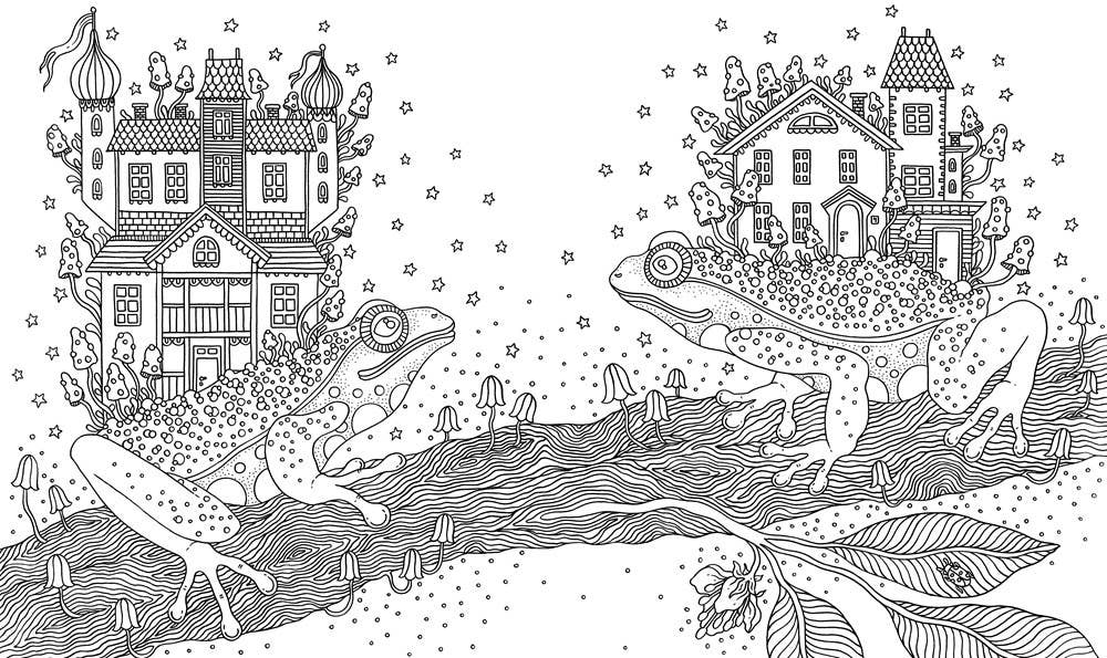 Coloring Book; Summer Nights