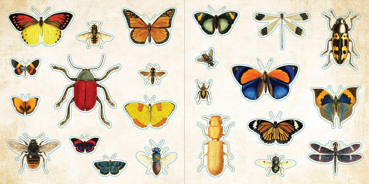 Sticker Book; Loads of Ephemera! (Over 580 Stickers)