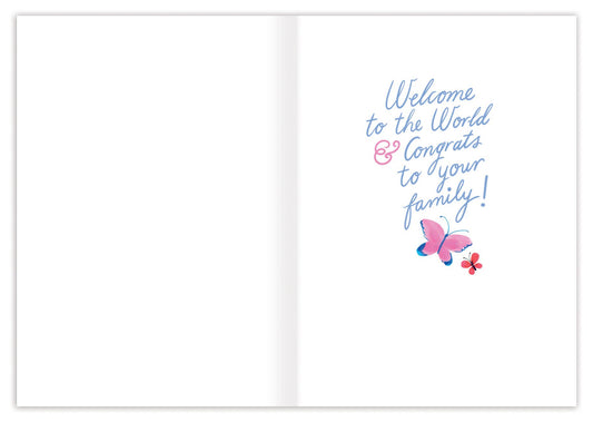 Baby Card; Bird Nest