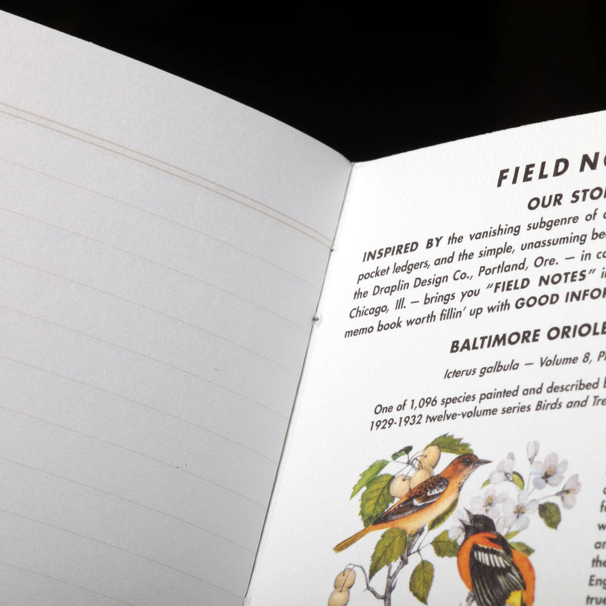 Memo Book Set; Birds and Trees of North America, Pack A | Field Notes