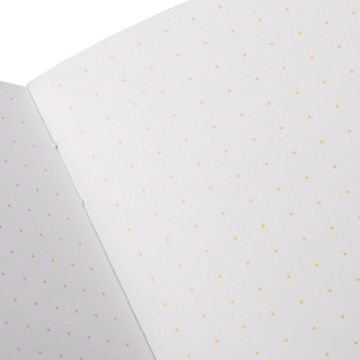Memo Book Set; Paletas Pack C, 3-Pack | Field Notes