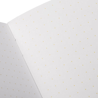 Memo Book Set; Paletas Pack C, 3-Pack | Field Notes