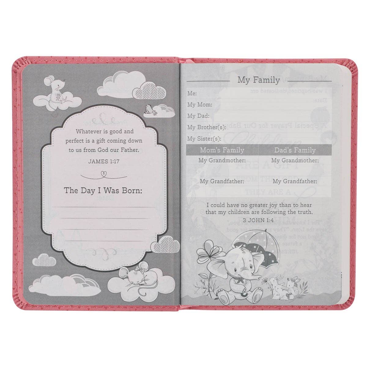 Bible NLT Infant New Testament (Faux leather, Pink)