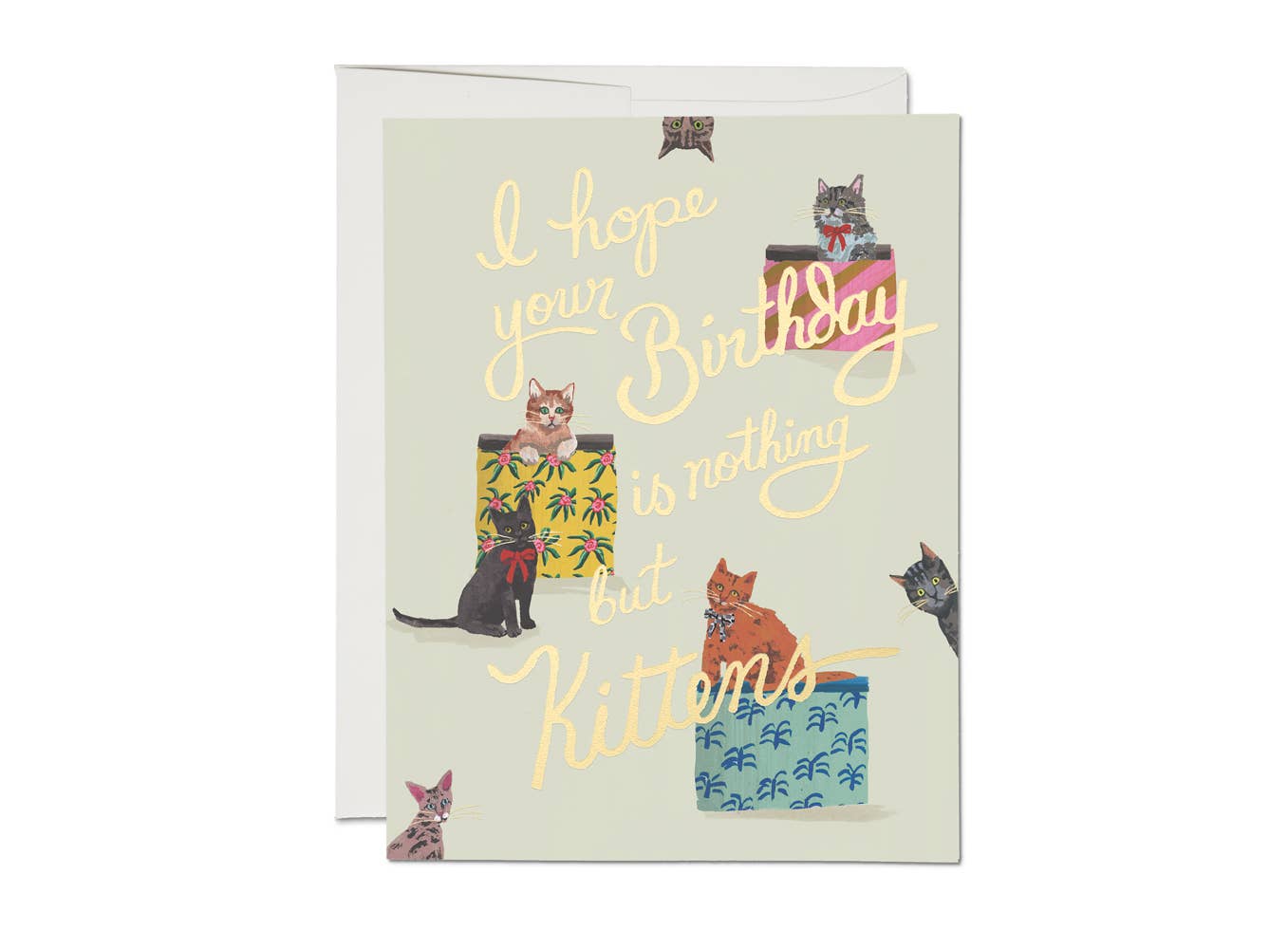 Birthday Card; Nothing But Kittens