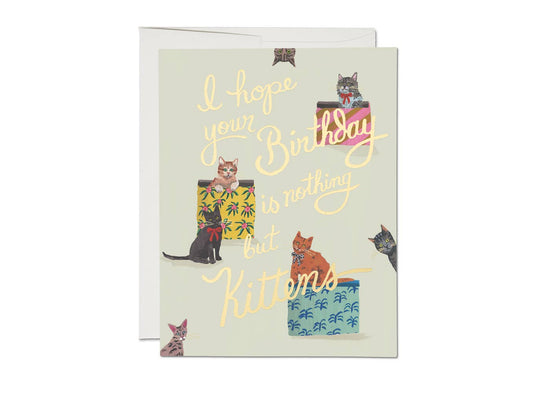 Birthday Card; Nothing But Kittens