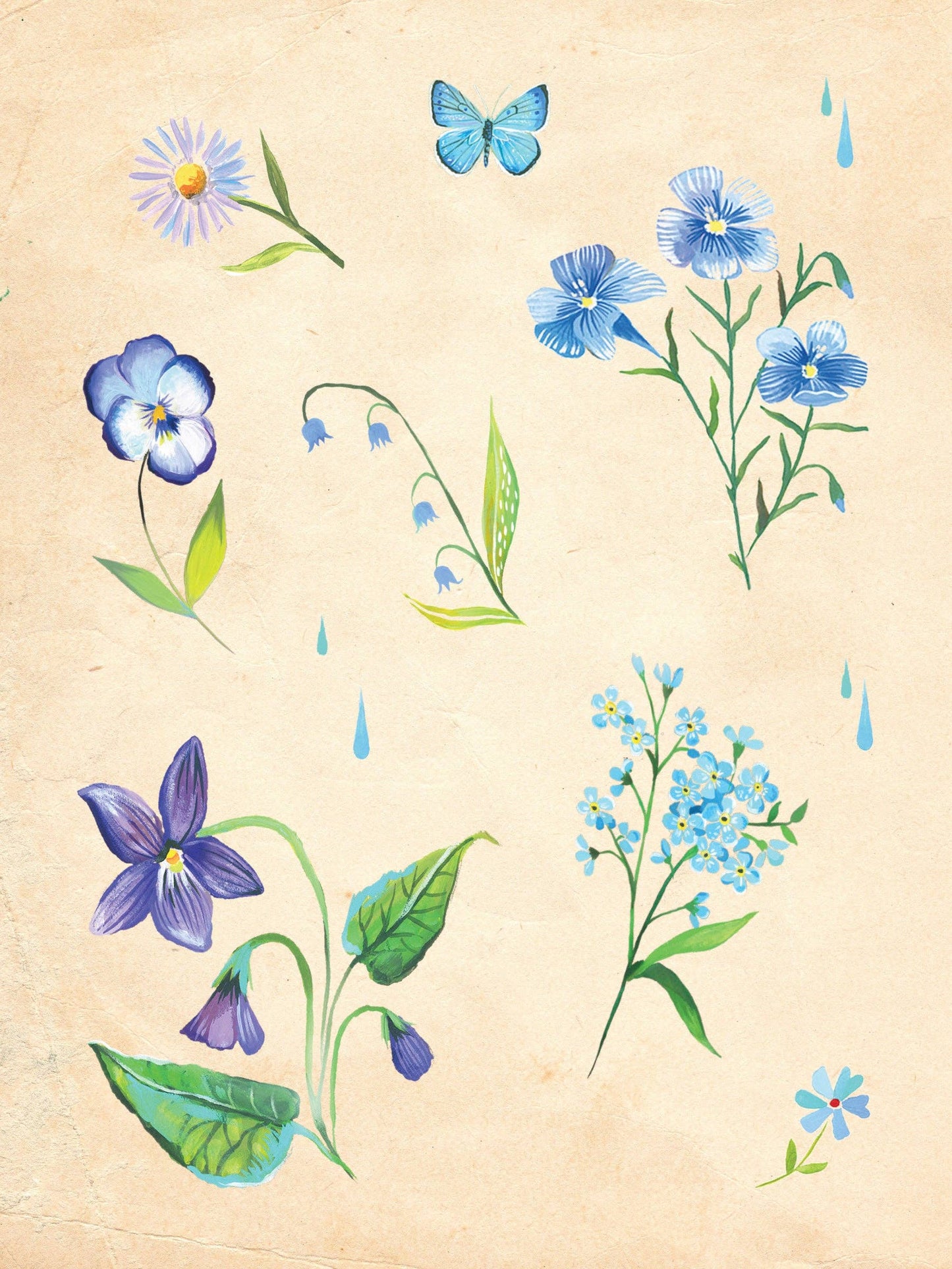 Katie Daisy Sticker Book; Wildflower Picnic