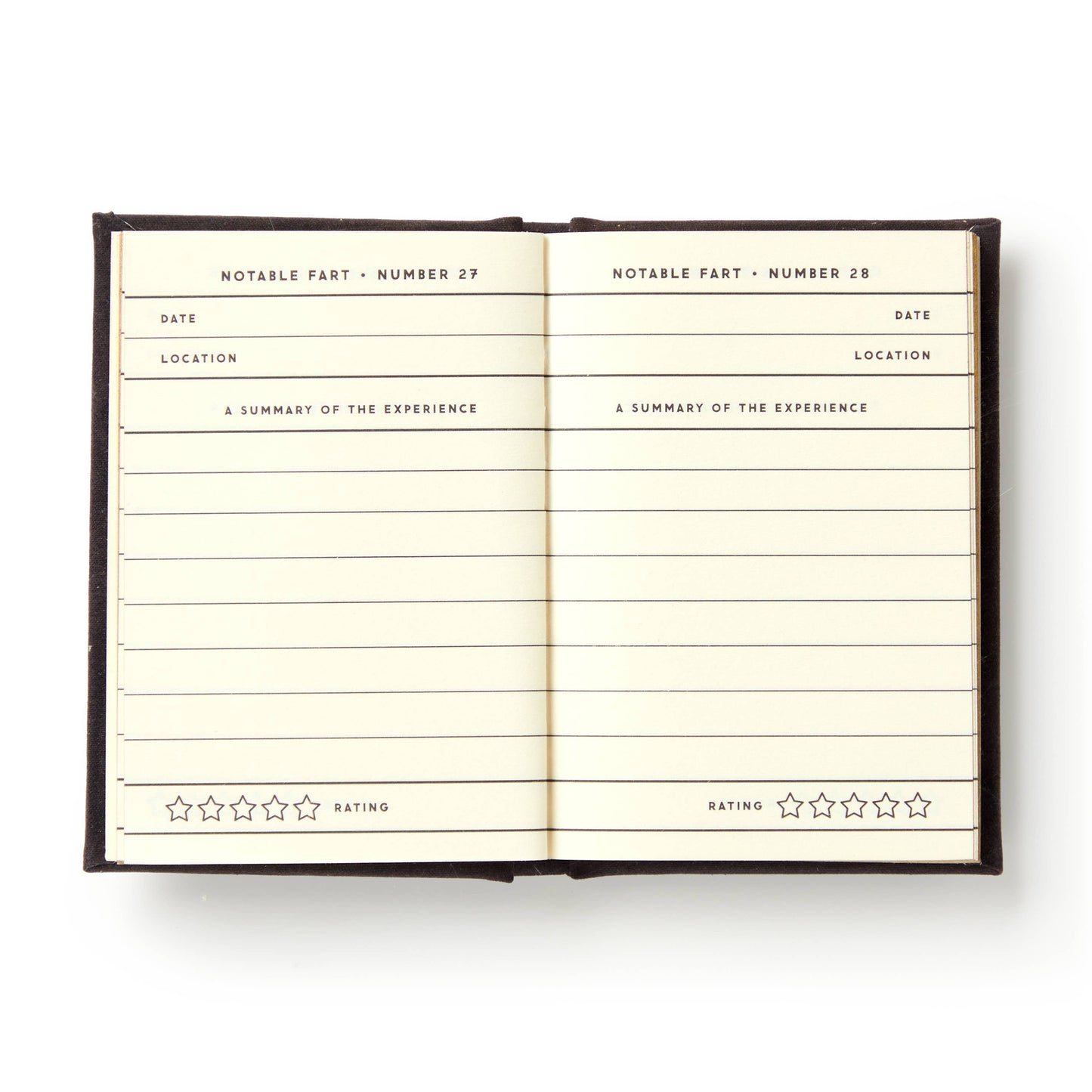 Mini Journal; A Tiny Fart Diary