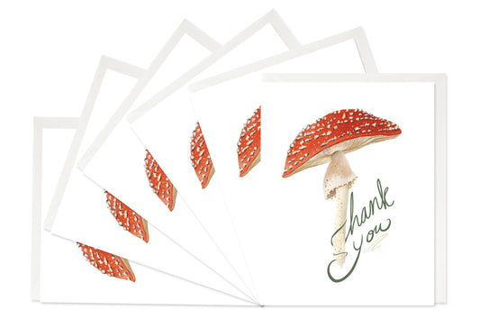 Boxed Thank You Card Set; Mushroom Thank You (6 Cards + Envelopes)