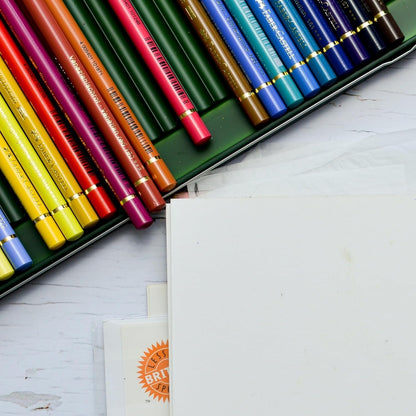 Caran D'Ache Pablo Colored Pencils (Set of 40)
