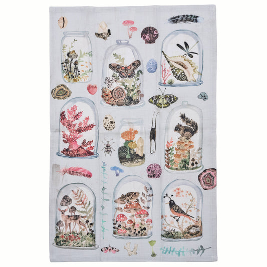 Tea Towel; Curio By BETSY OLMSTED (100% Cotton)