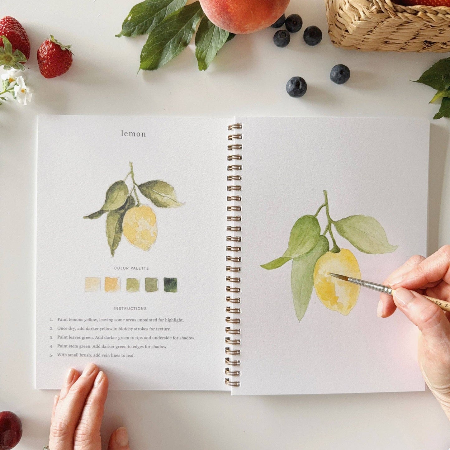 Watercolor Workbook; Fruit By Emily Lex