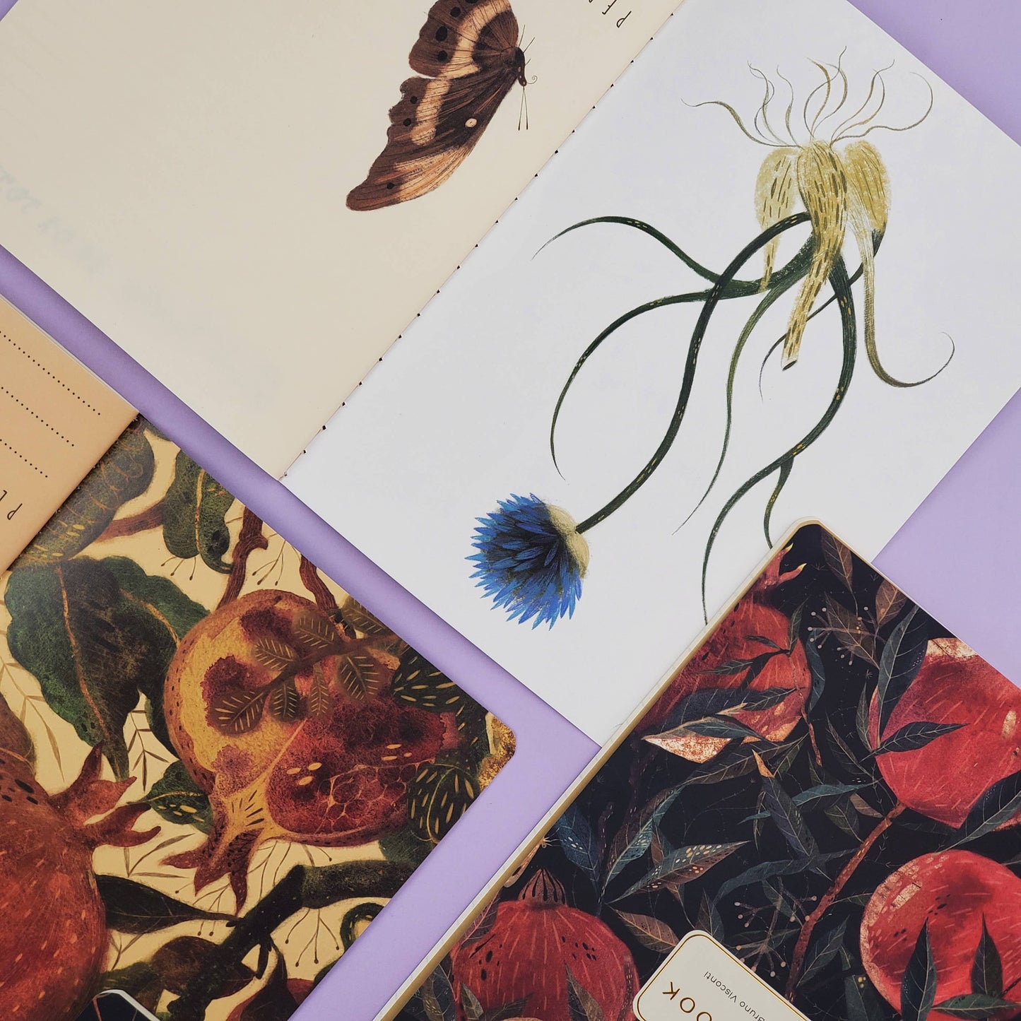 A5 Notebook; Pom on the Vine - BV by Bruno Visconti