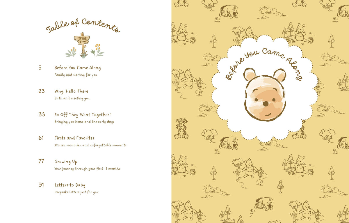 Baby Book; Disney Winnie the Pooh