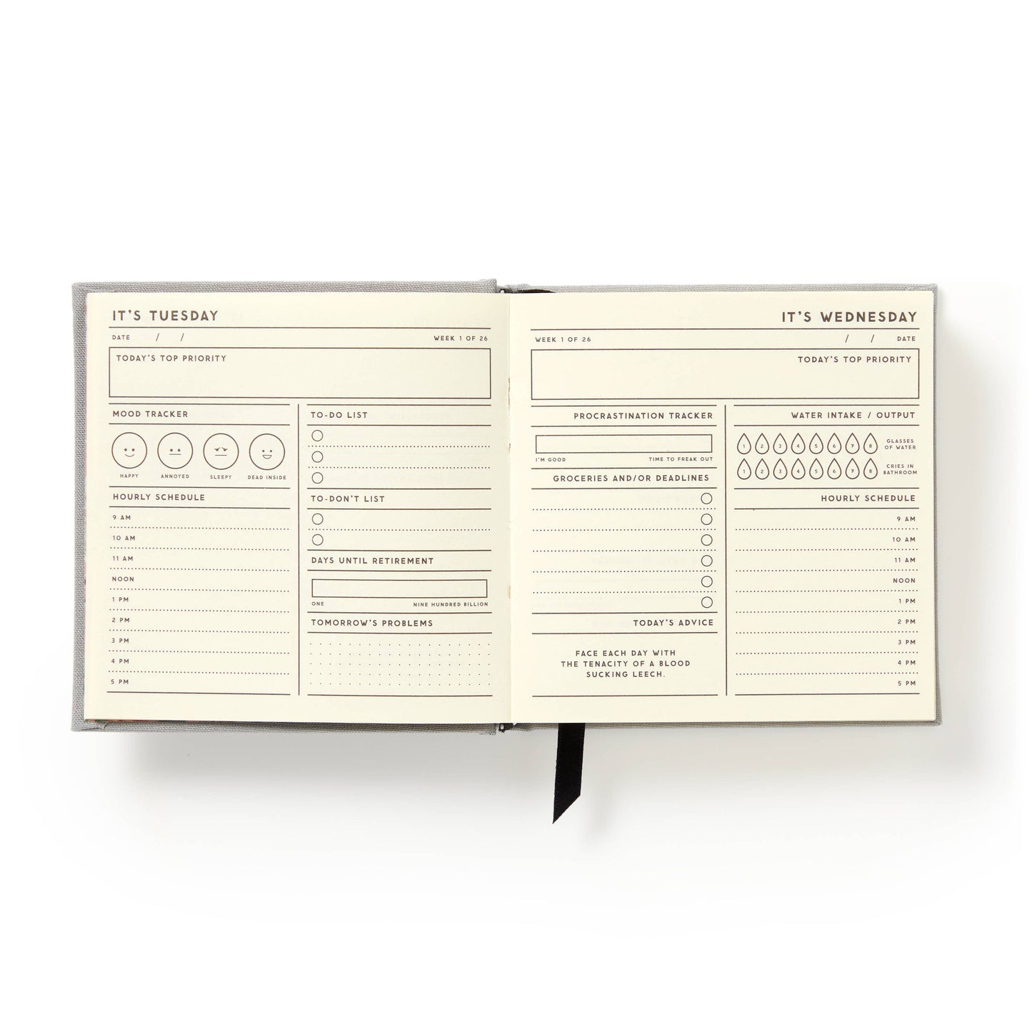 Productivity Guide; My Master Plan By Brass Monkey