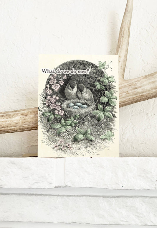 Parent Card; What Do We Do Now (Funny Birds with Nest, New Parent Card)