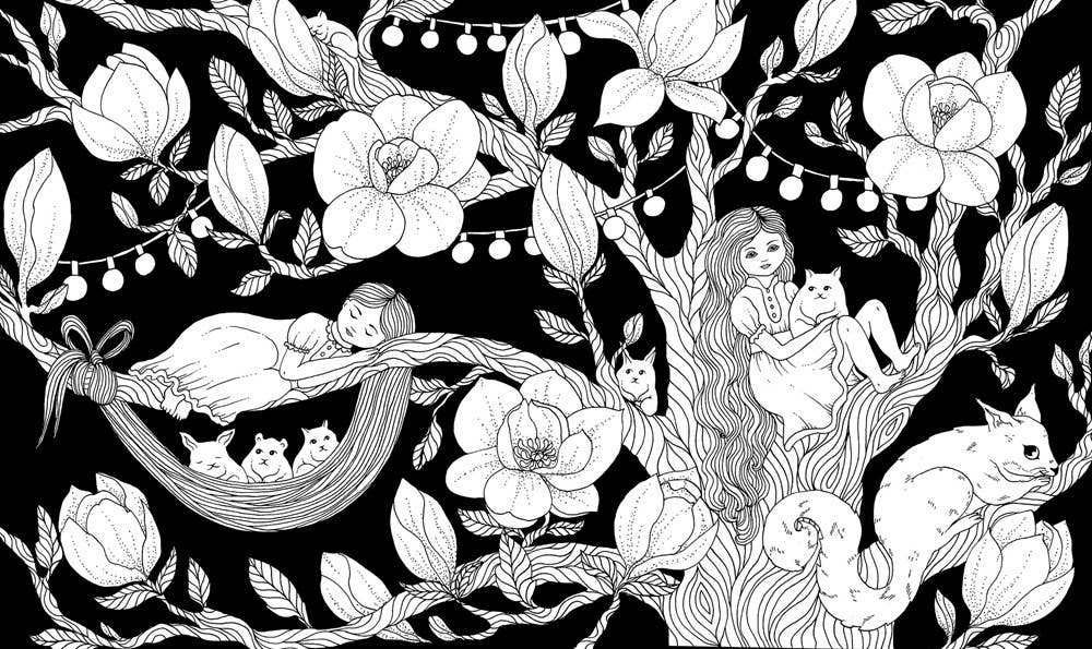 Mature Coloring Book; Nightfall