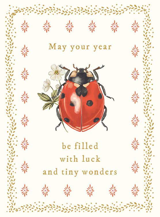 Greeting Card; Ladybug Luck Birthday | The Art File