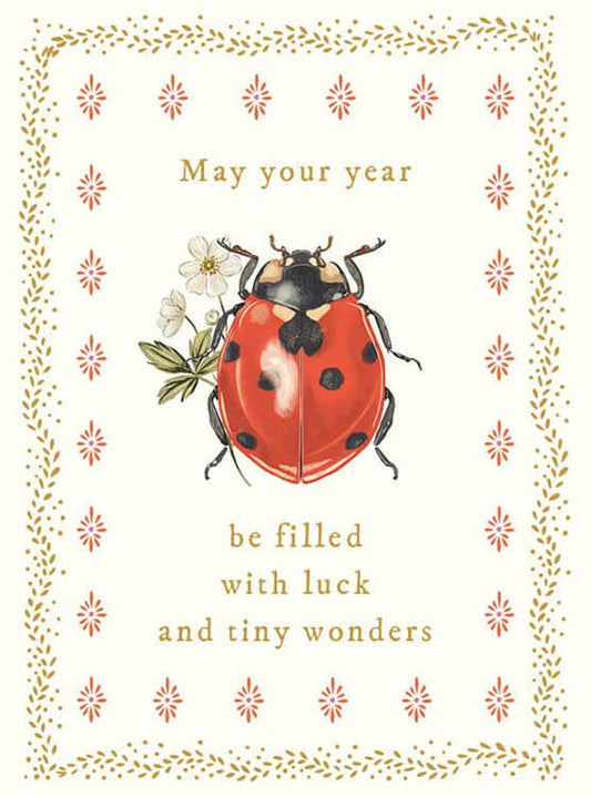Greeting Card; Ladybug Luck Birthday | The Art File