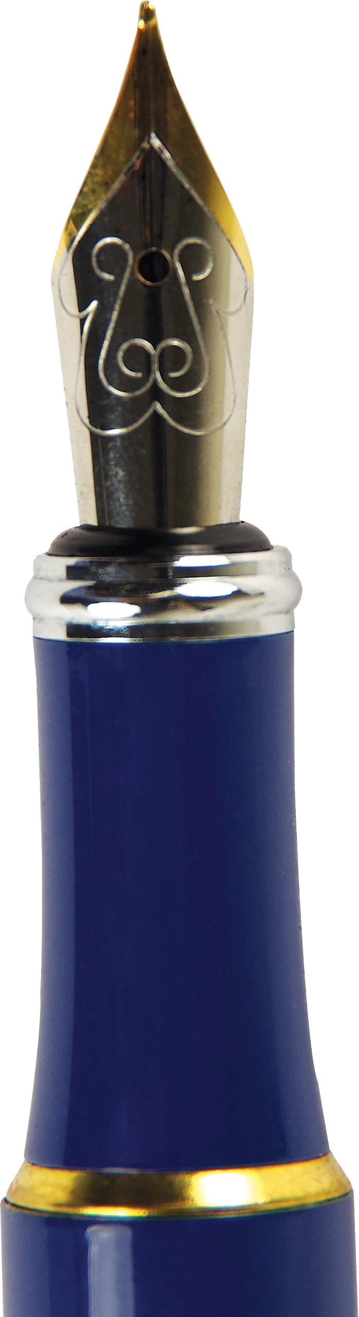Fountain Pen; Falling Blossoms (With Ink)
