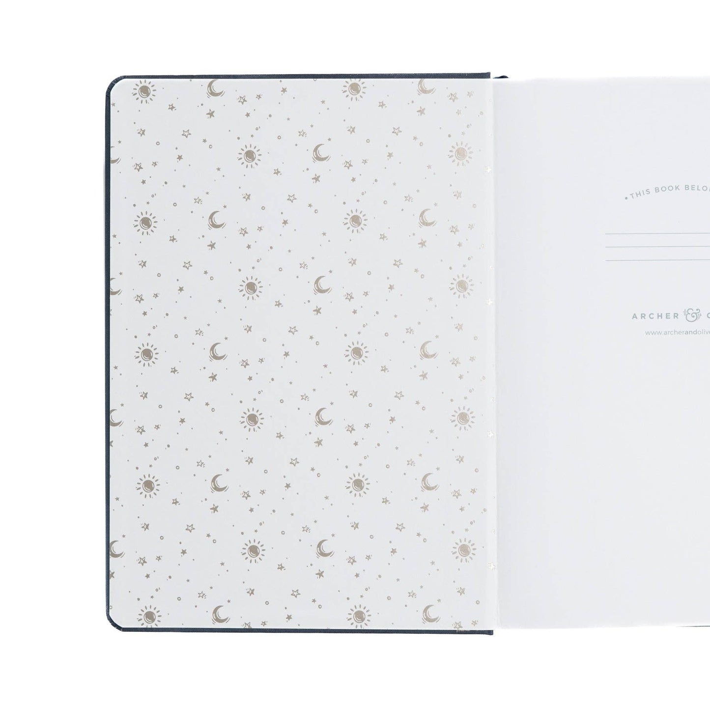 Notebook; TN Dot Grid: Forest Foxes