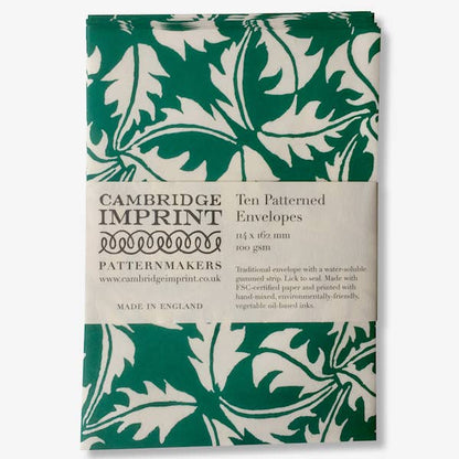 Patterned Envelopes (Packet of Ten); Dandelion Bottle Green