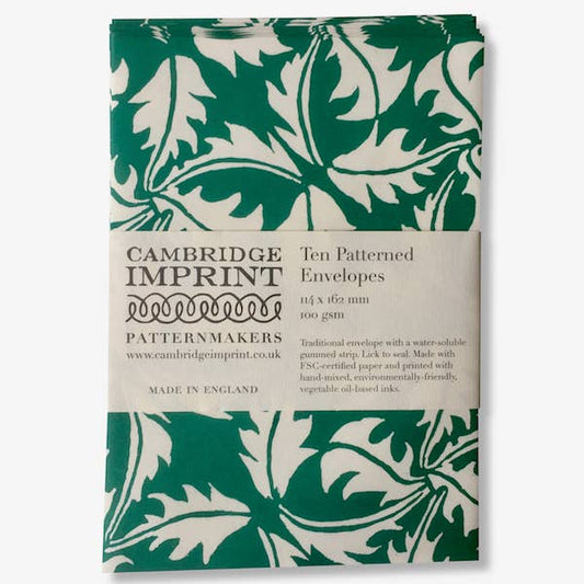 Patterned Envelopes (Packet of Ten); Dandelion Bottle Green