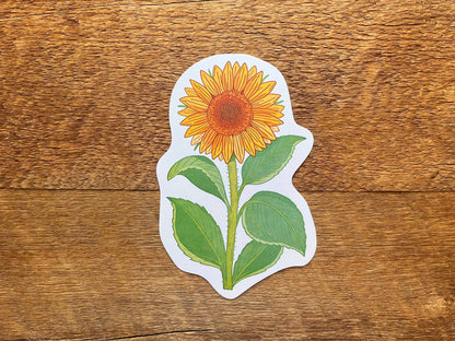 Postcard; Sunflower (Large Cut-Out)
